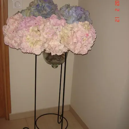 Chambres d'Hôtes La Villa des Hortensias Paris