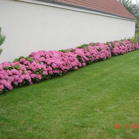 Chambres d'Hôtes La Villa des Hortensias 3*