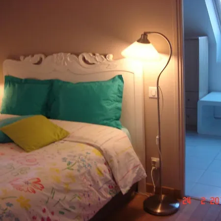 Chambres d'Hôtes La Villa des Hortensias Alojamento de Acomodação e Pequeno-almoço